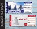 Printable Snow Trip Surprise Gift Reveal Ticket - Kaci Bella Designs