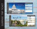 Printable Washington DC Surprise Trip Gift Ticket - Kaci Bella Designs