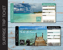 Printable Turks and Caicos Surprise Trip Gift Ticket - Kaci Bella Designs